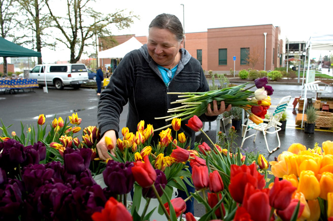 Woman arranging tulips at a farmers market in Independence, Oregon