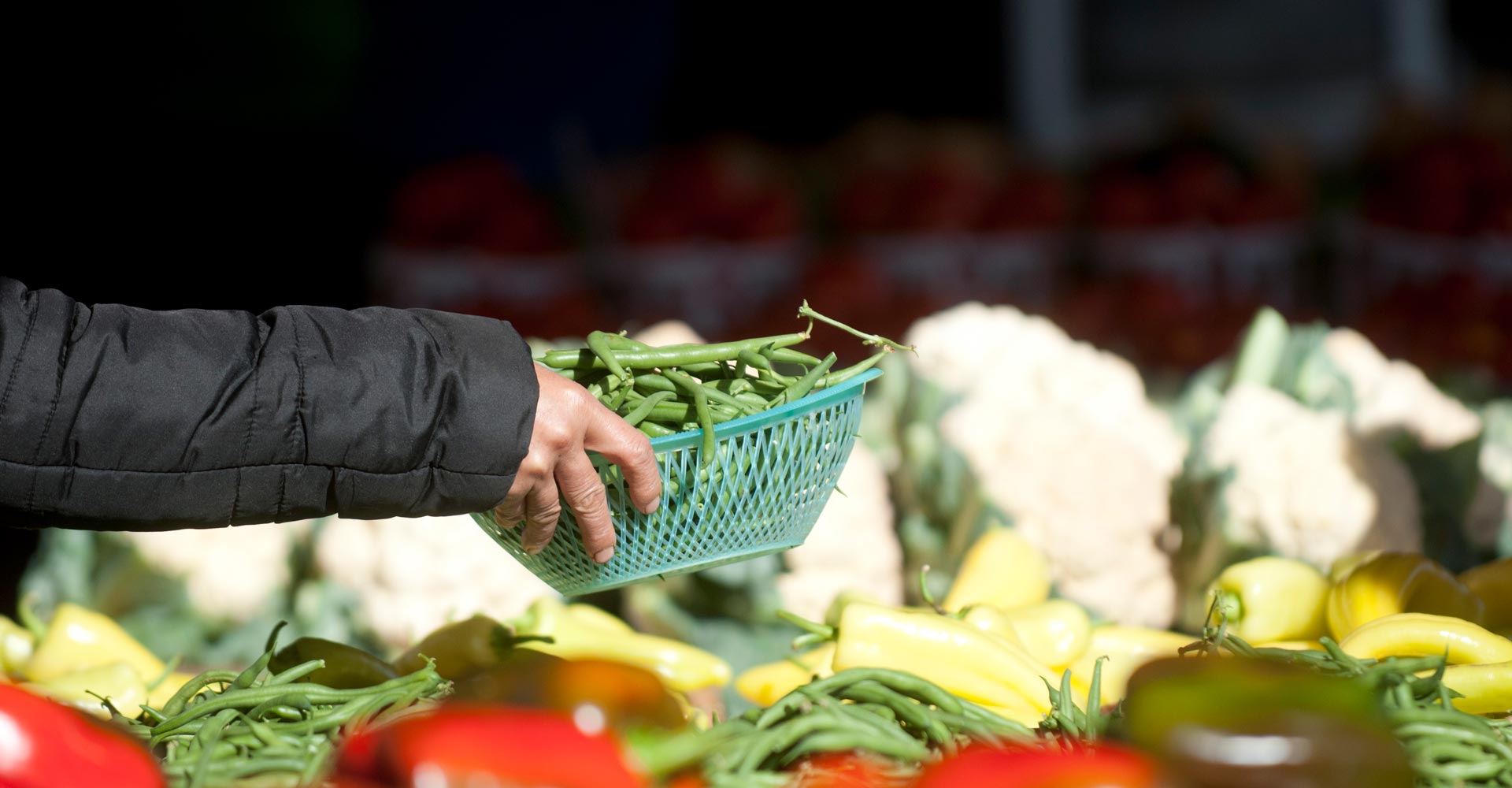 Hmong farmer placing vegetables on a table at a Saint Paul farmers market