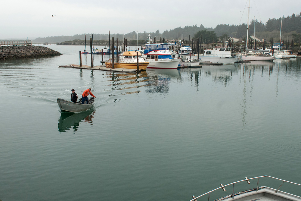 Small boats in a harbor in Umpqua, Oregon