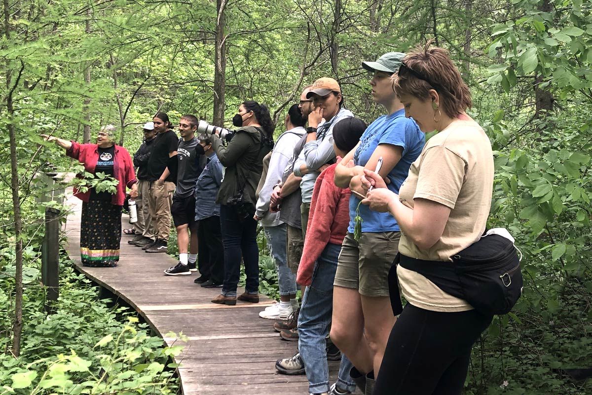 Dream of Wild Health’s Indigenous Food Network (IFN) plant walk. Minneapolis, MN.