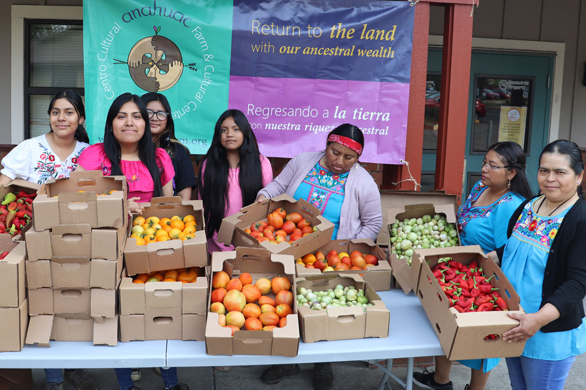 Anahuac Farm fall harvest at Nuevo Amanecer farmworker housing community, Woodburn, OR