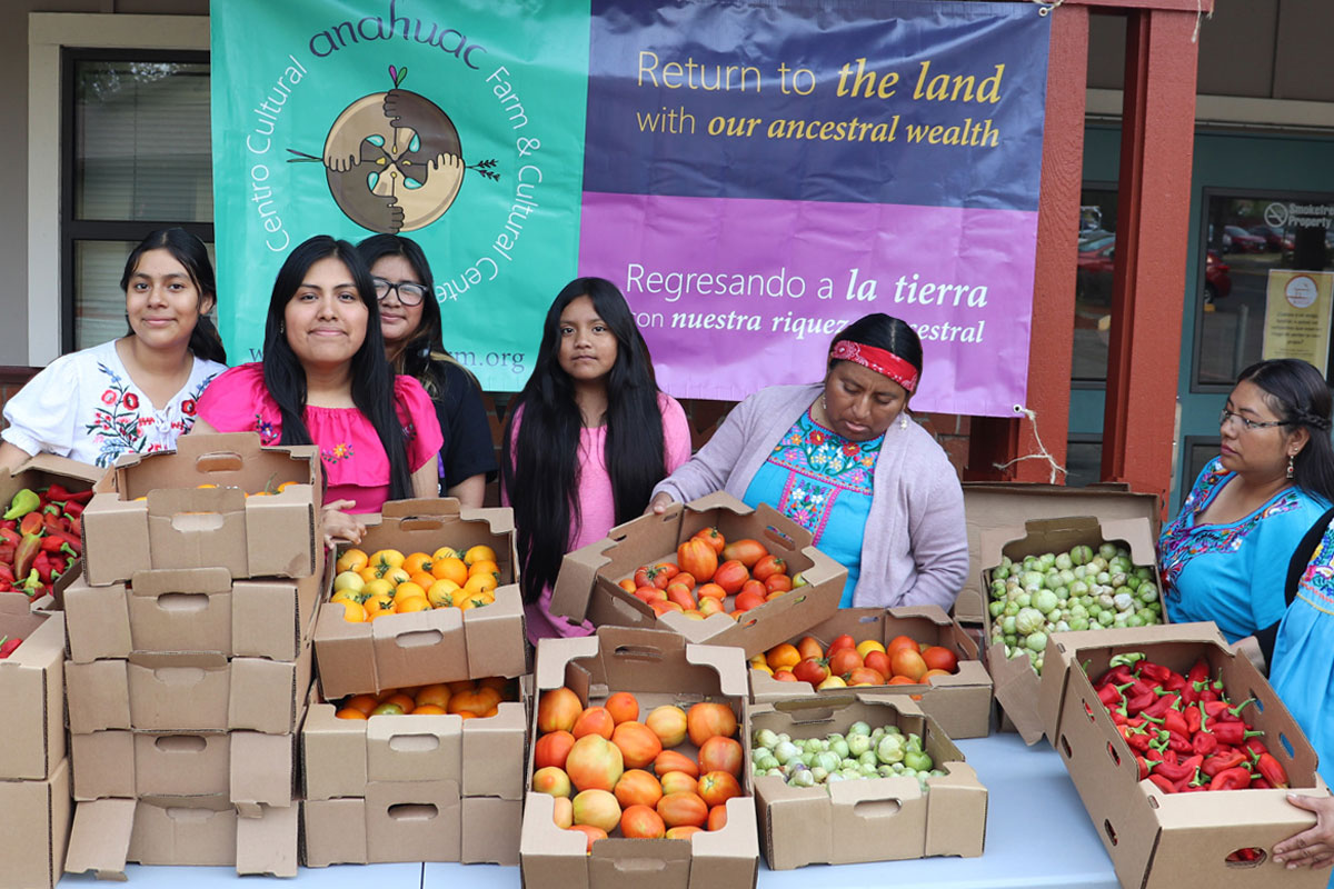 Anahuac Farm fall harvest at Nuevo Amanecer farmworker housing community, Woodburn, OR