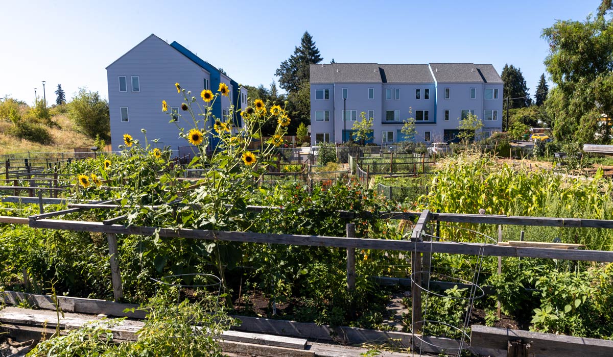 Shaunie Grigsby, Owner, Flava Cafe