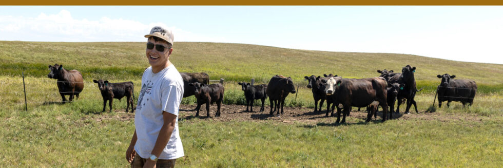 Q4 Grants: Native American Rights Fund Builds on 55 Years of Legal ...