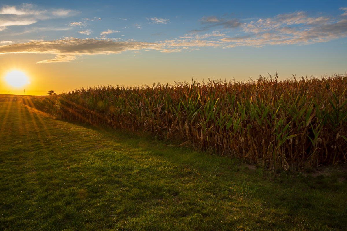 Iowa farm