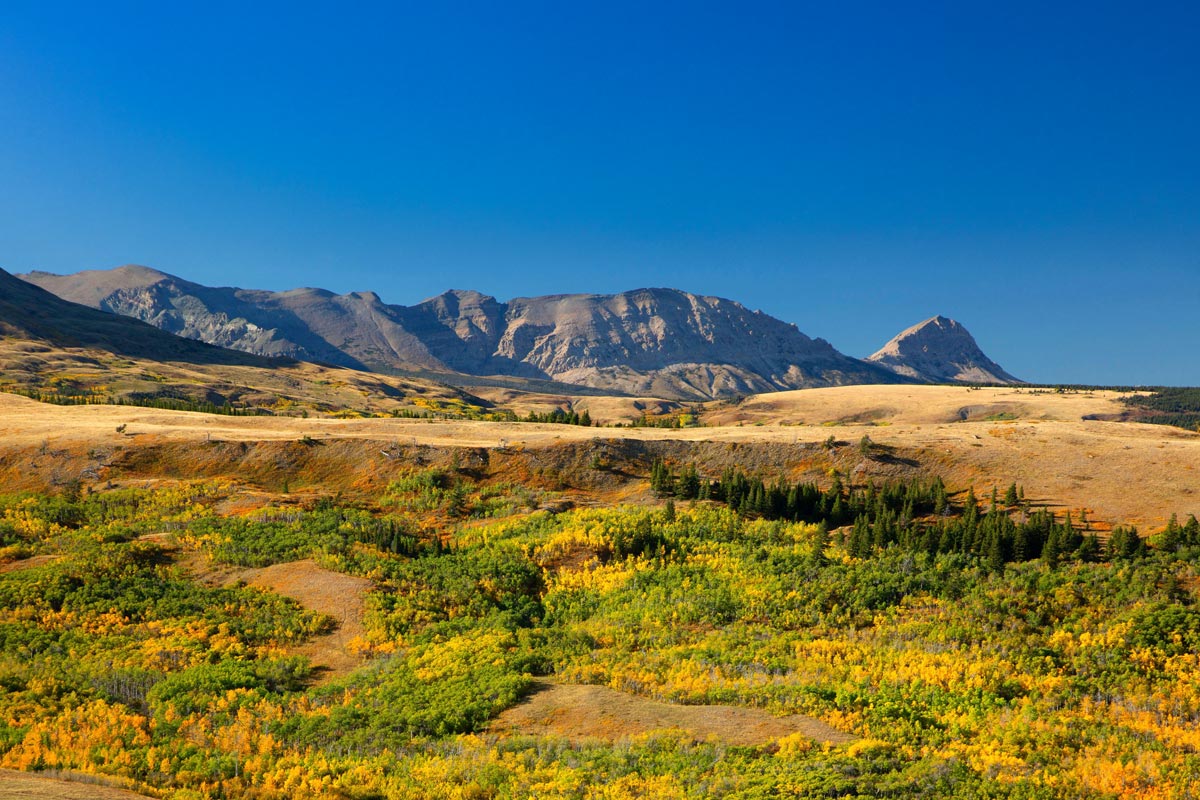 Rocky Mountain foothills