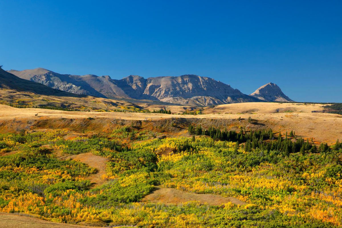 Blackfeet Indian Reservation